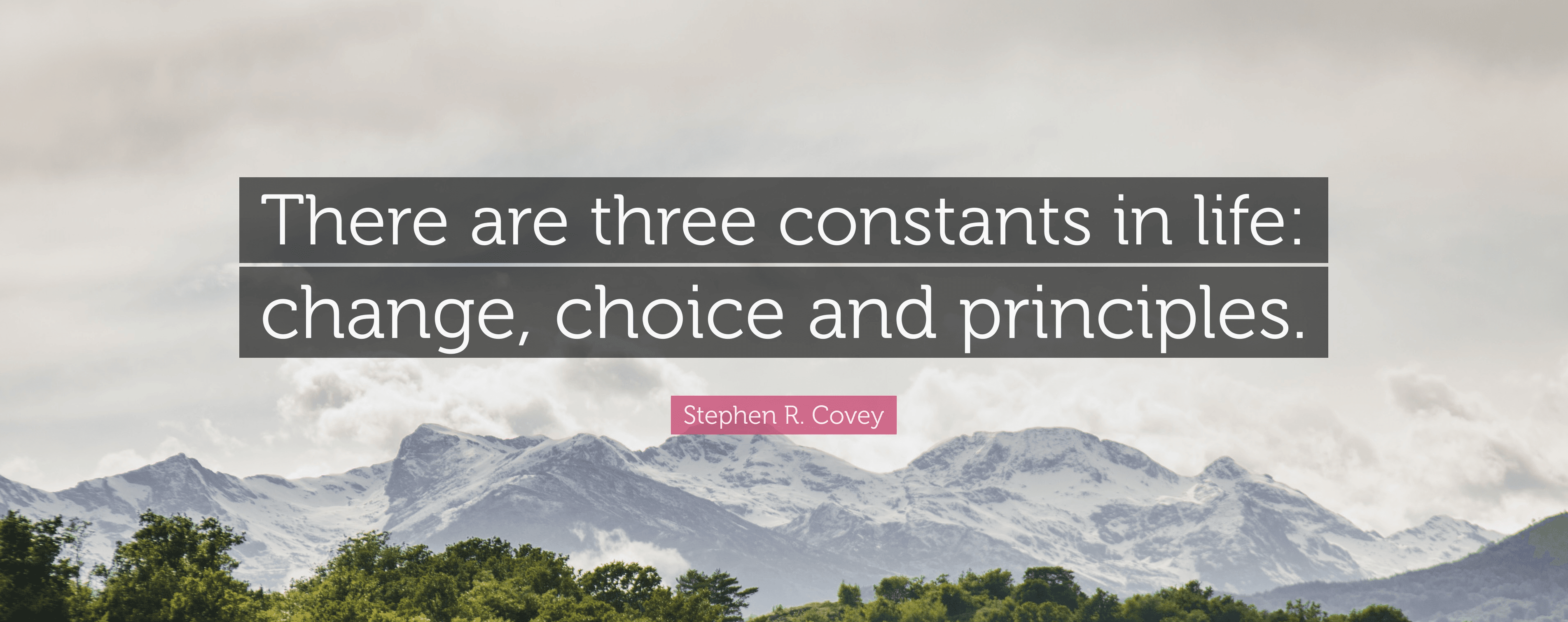 Stephen Covey — There are only three constants in life: change, choice, and principles